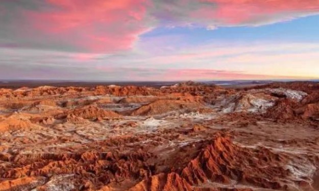 Sa mạc đã không mưa trong 400 năm và khô cằn nhất trên trái đất, nhưng tại sao vẫn có những thảm họa nở rộ! Lý do chính xác là gì?