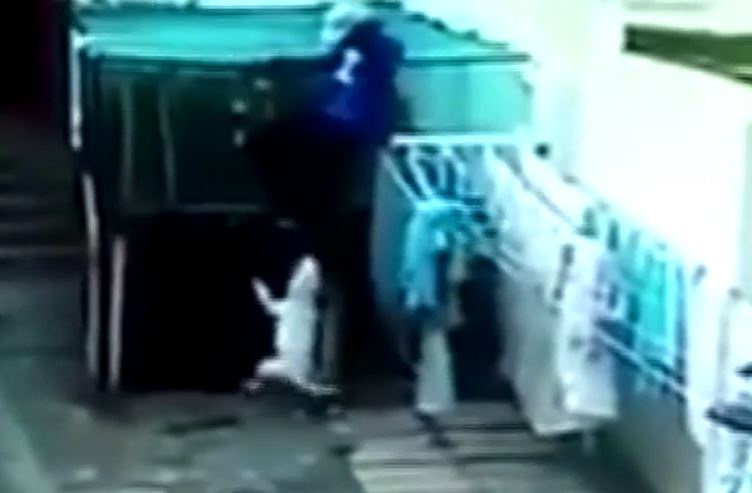 CLIP: Vào nhà dân ăn trộm, nam thanh niên gặp ngay 2 con chó Pitbull và cái kết 'kinh hoàng'