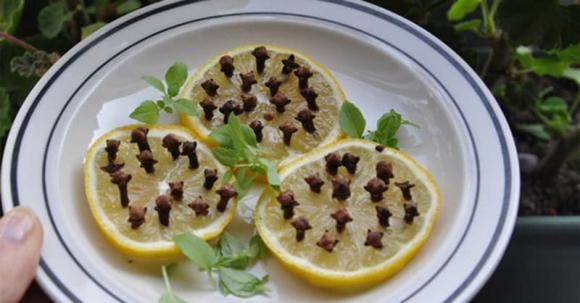 Mẹo đuổi muỗi siêu đơn giản: Cắm thứ này vào quả chanh, đặt ở góc nhà, muỗi nhiều đến đâu cũng phải 'chào thua'