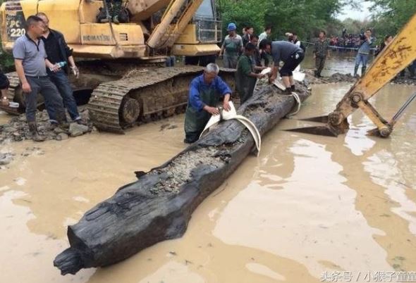 Người đàn ông đào được gỗ quý 350 tỷ, 'đổi đời' sau 1 đêm nhưng lại bị làng xóm bàn tán, ganh tị