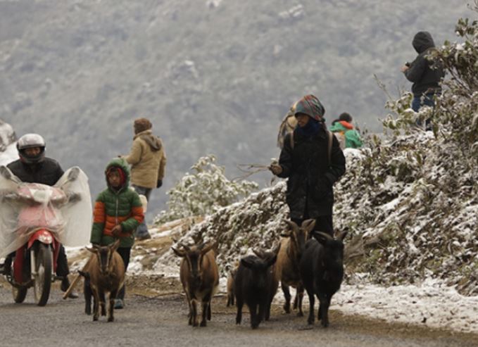 Dự báo thời tiết miền Bắc ngày mai 4/1: Vùng núi phía Bắc rét đậm, rét hại, có nơi dưới 11 độ