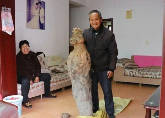 Đào được dị vật to bằng người, lão nông đổi đời thành tỷ phú chỉ sau 1 đêm khi bán với giá trăm tỷ