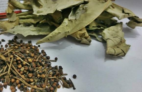 4 loại lá mọc đầy vườn, phơi khô trị bách bệnh, nhiều người không biết vứt đi uổng quá