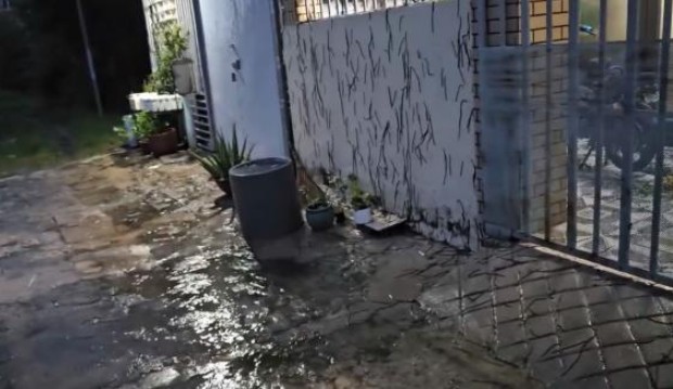 Clip: Cận cảnh hàng nghìn con giun chui lên mặt đất, leo tường nhà ở Vũng Tàu gây kinh hãi