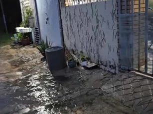 Clip: Cận cảnh hàng nghìn con giun chui lên mặt đất, leo tường nhà ở Vũng Tàu gây kinh hãi