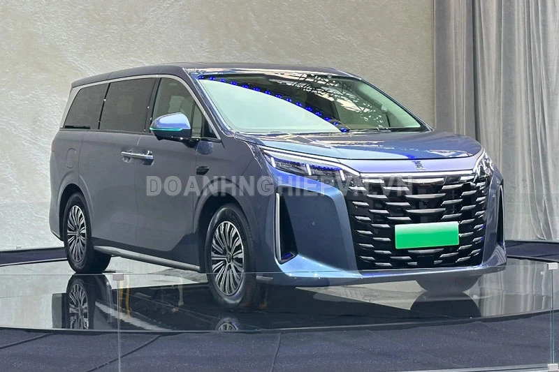 BYD Xia 2025.