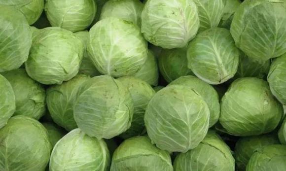 Ăn chăm chỉ loại rau này vào mùa đông, axit folic gấp 38 lần táo! Nó là 'vua rau' mùa đông, giá bình dân mà bổ dưỡng và thơm ngon!