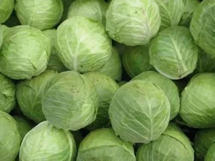 Ăn chăm chỉ loại rau này vào mùa đông, axit folic gấp 38 lần táo! Nó là 'vua rau' mùa đông, giá bình dân mà bổ dưỡng và thơm ngon!
