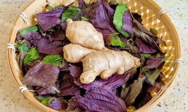 Tía tô và gừng là sự kết hợp hoàn hảo, có rất nhiều lợi ích mà bạn thậm chí không thể mua được bằng tiền