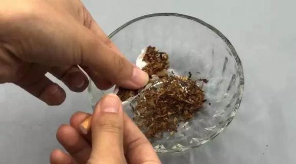 Nhà có kiến làm phiền? Đừng vội dùng nước sôi hay thuốc hóa học, với mẹo đơn giản này bạn có thể khiến chúng 'bỏ chạy' tán loạn