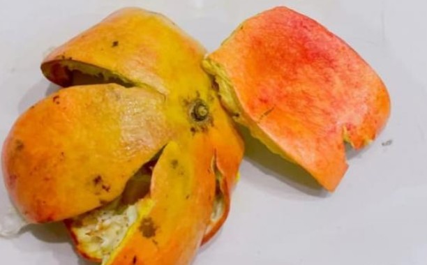 Vỏ lựu: Kho báu bị lãng quên, nhiều người không biết công dụng