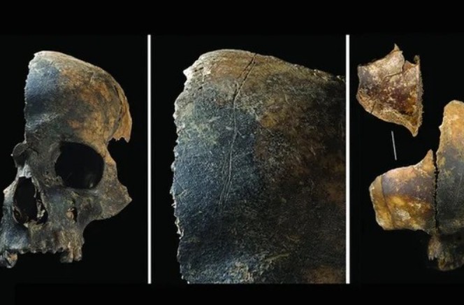 Tiết lộ hành vi bạo lực chưa từng có: Cắt lưỡi, moi ruột, ăn thịt người ở thời đại đồ đồng