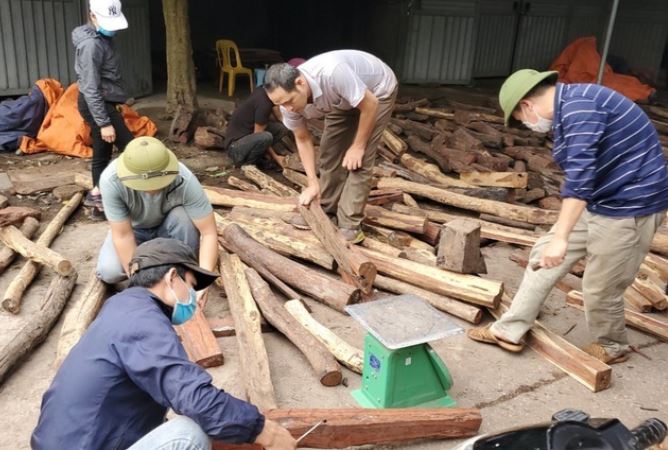 Khu chợ duy nhất của Việt Nam chỉ bán 1 mặt hàng: Gỗ quý tiền tỉ bán theo cân, kiếm được bộn tiền