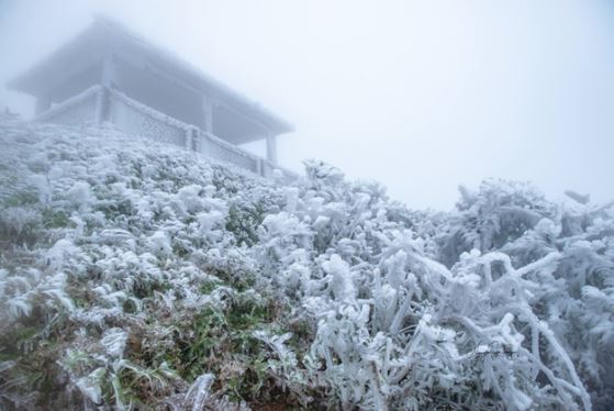 Đợt không khí lạnh mạnh nhất: Miền Bắc nhiều nơi dưới 1 độ C, Hà Nội lạnh nhất từ đầu mùa đông