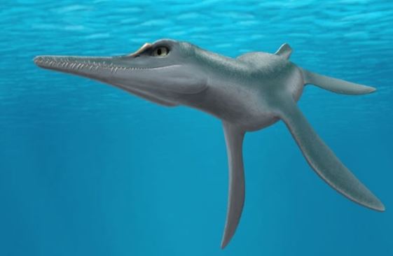 Khoa học thế giới sửng sốt phát hiện quái vật 80 triệu tuổi, có ngoại hình dị hợm nhìn giật mình