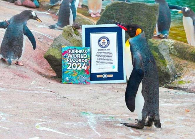 Con vật duy nhất trên thế giới đạt Kỷ lục Guinness vì mang hàm Thiếu tướng, đường binh nghiệp đầy rực rỡ