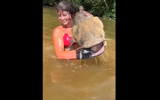 CLIP: Cô gái xinh đẹp tóm gọn cá trê khổng lồ bằng tay không