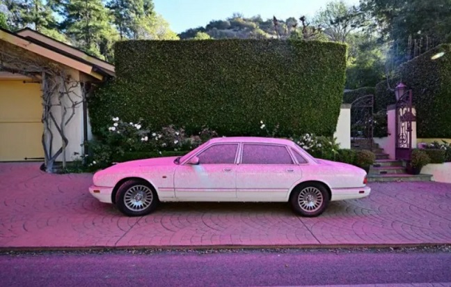 Bột hồng bí ẩn phủ kín California giữa thảm họa cháy rừng tại Mỹ