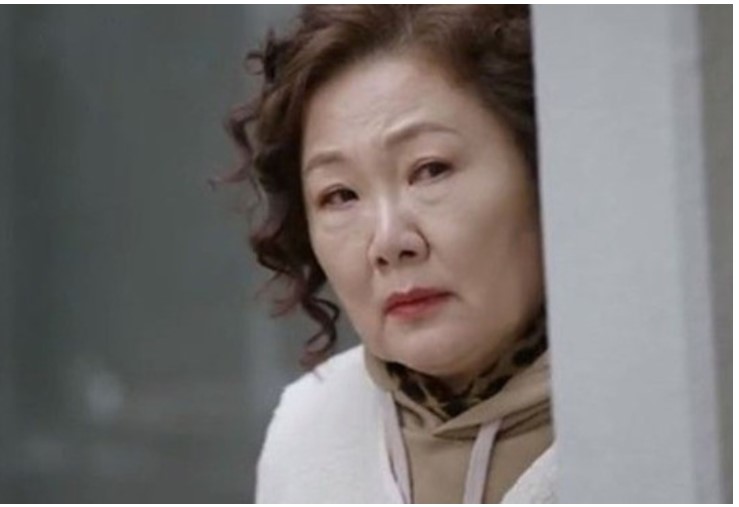 

Mẹ vợ từ quê lên trông cháu, con rể nói một câu khiến bà tức tưởi, lập tức dọn đồ bỏ về 