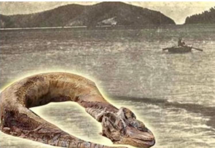 Nh&#x1EEF;ng &#x27;qu&#xE1;i v&#x1EAD;t&#x27; g&#xE2;y &#xE1;m &#x1EA3;nh nh&#x1EA5;t Vi&#x1EC7;t Nam, c&#xF3; con th&#x1EAD;t s&#x1EF1; t&#x1ED3;n t&#x1EA1;i tr&#xEA;n &#x111;&#x1EDD;i