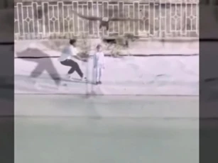 CLIP: Kinh hoàng khoảnh khắc đại bàng lao xuống, suýt “bắt” bé gái