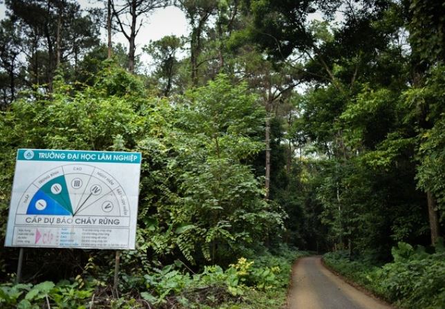 Trường đại học duy nhất ở Việt Nam có rừng trong khuôn viên: Rộng gấp 6 lần ĐH Bách Khoa, gần bằng 1 quốc gia