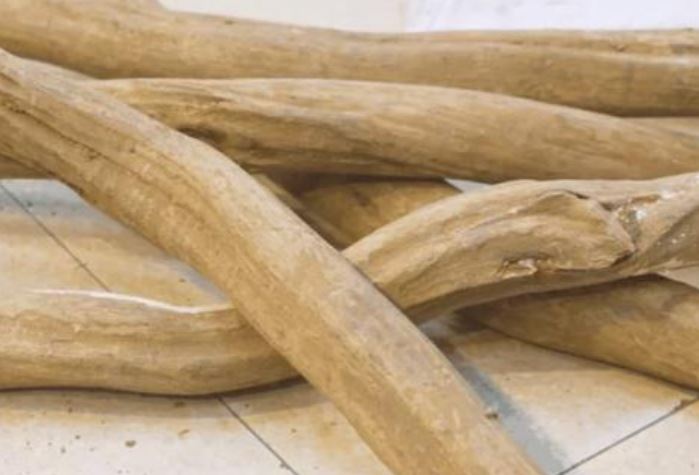 Việt Nam sở hữu 1.000 cây gỗ quý được xem như báu vật, một khúc cũng có giá tiền tỷ