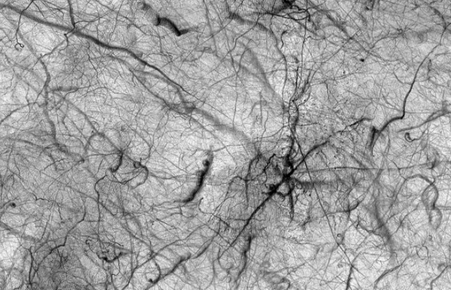 NASA tung ảnh "thế lực” đã hạ gục robot săn sự sống