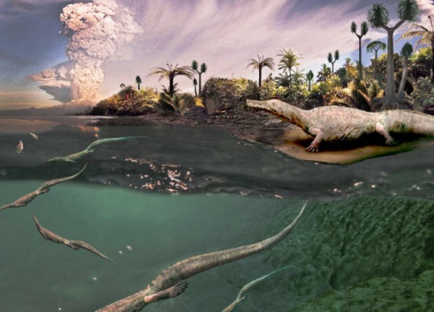 Phát hiện quái vật Mesosaur lớn nhất từng được biết đến