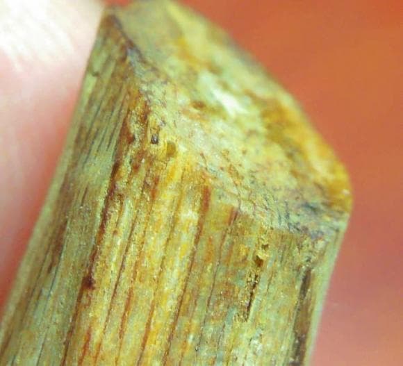 Một địa phương ở Việt Nam sở hữu loại gỗ tốt nhất thế giới, quý hơn kim cương, giá khủng lên đến 50 tỷ/kg