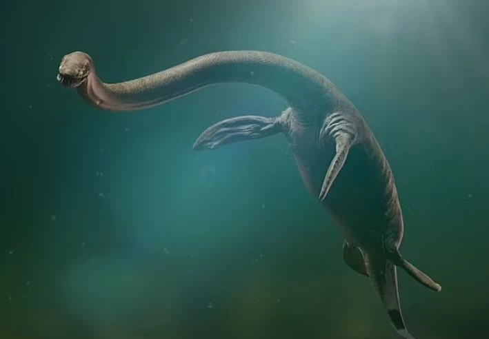 Plesiosaur.