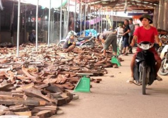Khu chợ duy nhất Việt Nam bán gỗ quý 'tiền tỷ' theo cân, hàng hiếm đổ đống, người dân thu bộn tiền