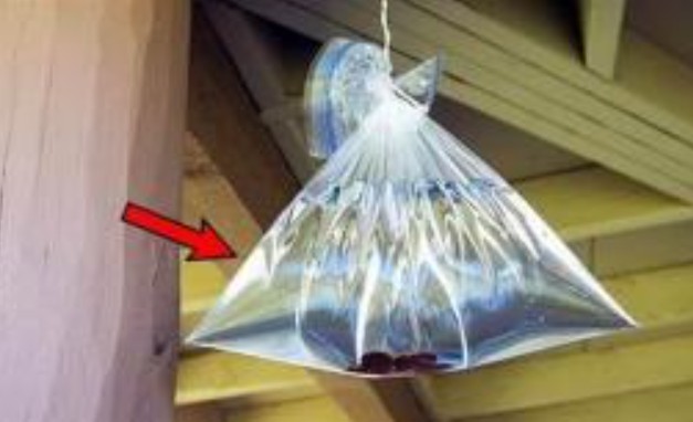 Treo 1 túi nước ở cửa sổ có tác dụng không ngờ, giải quyết vấn đề nhiều nhà gặp phải, đặc biệt trong mùa hè