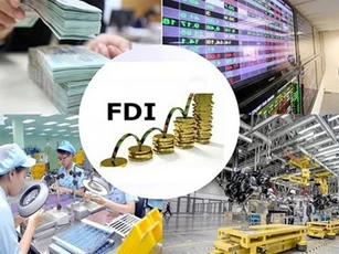 Lĩnh vực nào thu hút đầu tư nước ngoài trong năm 2025?