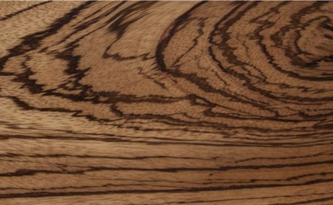 1 trong những loại gỗ cứng nhất thế giới có nguy cơ tuyệt chủng: Vẻ ngoài giống ngựa vằn rất quý hiếm