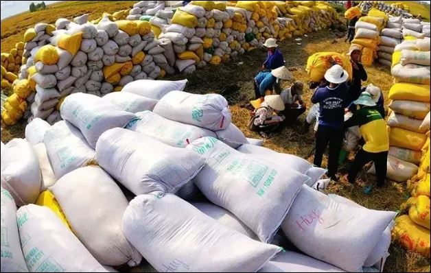 Việt Nam đứng thứ ba về xuất khẩu gạo sang Singapore