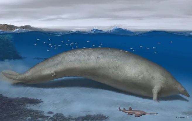 Phát hiện loài động vật nặng nhất từng sống trên Trái Đất