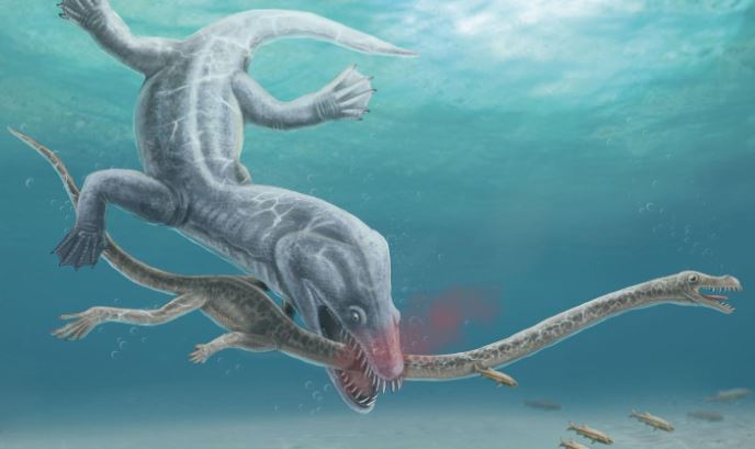 Ph&#xE1;t hi&#x1EC7;n m&#x1EDB;i v&#x1EC1; nguy&#xEA;n nh&#xE2;n tuy&#x1EC7;t ch&#x1EE7;ng c&#x1EE7;a lo&#xE0;i &#x27;qu&#xE1;i v&#x1EAD;t&#x27; bi&#x1EC3;n c&#x1ED5; d&#xE0;i