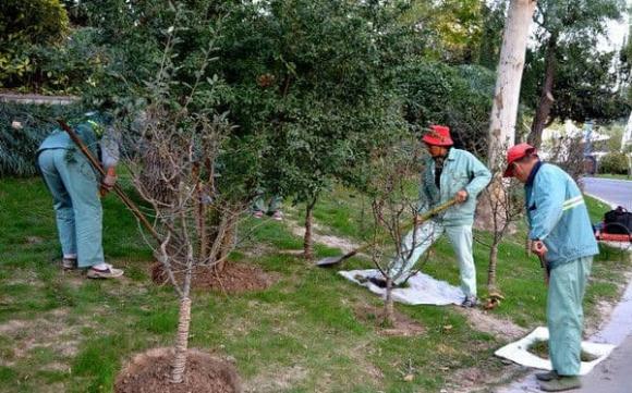 '50 không xây nhà, 60 không trồng cây, 70 không may quần áo', tại sao cổ nhân lại căn dặn như vậy?