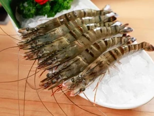 Tôm sông và tôm biển: Loại nào ngon hơn, bổ dưỡng hơn? Đừng để giá cả đánh lừa, sự thật sẽ khiến bạn bất ngờ