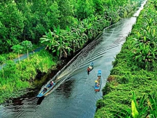 Dòng sông dài hơn 40km cắt đôi 2 khu rừng của Việt Nam được xếp loại quý hiếm bậc nhất trên thế giới