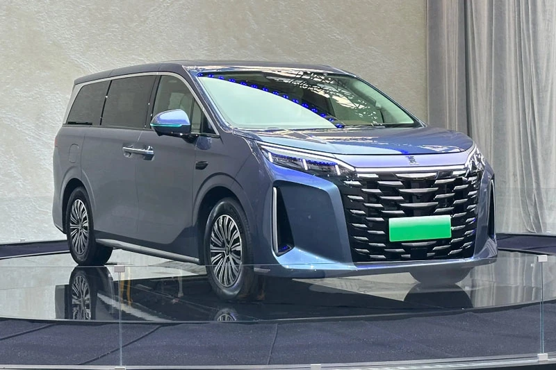 BYD Xia 2025.