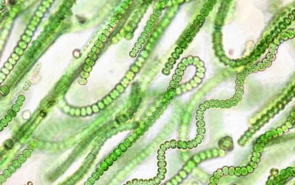 Nếu mặt trời bị 'dập tắt' đột ngột, nhân loại có thể kéo dài sự sống trên Trái đất trong bao lâu? Khám phá sự thật đáng kinh ngạc