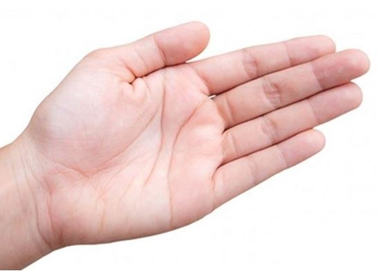 4 đặc điểm ở lòng bàn tay báo hiệu vận số giàu sang suốt đời, tài lộc hanh thông, đặc biệt là số 2
