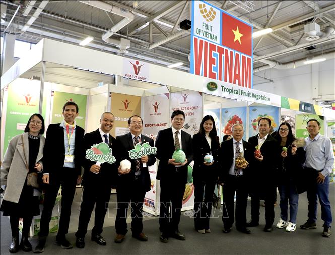 Việt Nam tham gia Fruit Logistica 2025 tại Đức với quy mô lớn nhất từ trước đến nay