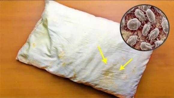 Thứ bẩn nhất trên giường không phải là ga trải giường mà là 'nó'. Nhiều người chưa giặt chút nào!