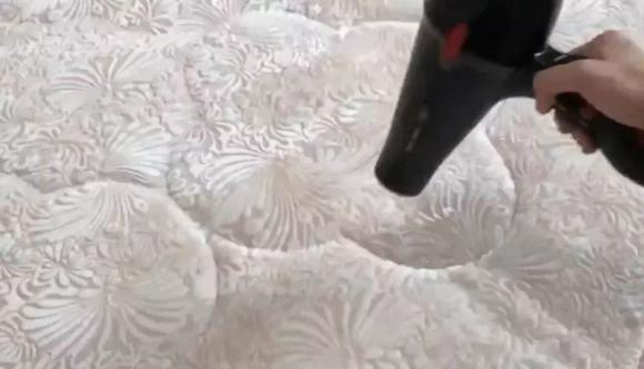 Nh&#x1EEF;ng con m&#x1EA1;t ve th&#x1B0;&#x1EDD;ng c&#xF3; nhi&#x1EC1;u trong ch&#x103;n &#x111;&#x1EC7;m! H&#x1ECD;c th&#x1EE7; thu&#x1EAD;t n&#xE0;y, kh&#xF4;ng c&#x1EA7;n gi&#x1EB7;t hay ph&#x1A1;i kh&#xF4;, v&#x1EAB;n nhanh ch&#xF3;ng lo&#x1EA1;i b&#x1ECF; t&#x1EA5;t c&#x1EA3; b&#x1ECD; ve