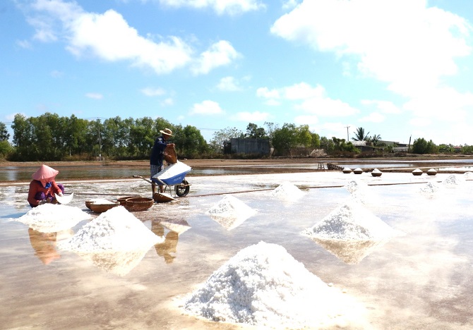 Festival nghề muối Việt Nam: Khơi dậy tình yêu nghề truyền thống của thế hệ trẻ
