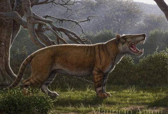 Quái vật 22 triệu năm trước: Nặng hơn 2 tấn, ăn cả voi, may mắn nó không sống ở thời hiện đại