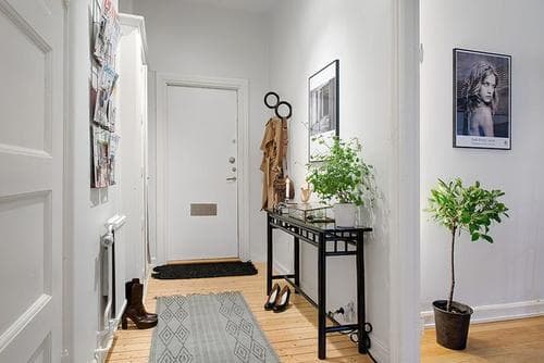 Bạn phải đặt những linh vật này trong nhà vì chúng cho thấy rằng bạn càng sống lâu thì bạn sẽ càng giàu có